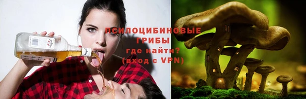 твердый Алексеевка
