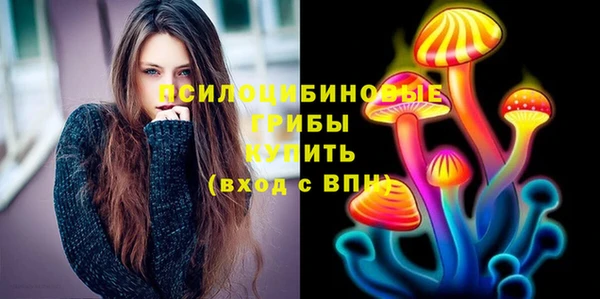 твердый Алексеевка