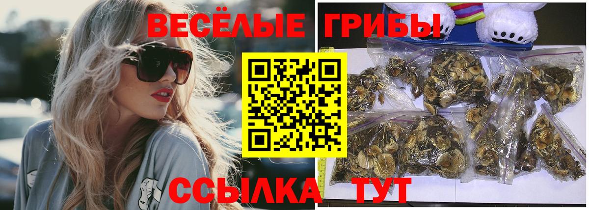Усть-Илимск  Галлюциногенные грибы ЛСД  Вход с VPN 